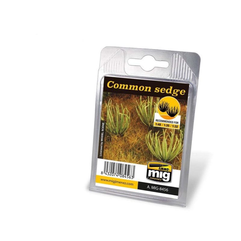 Common Sedge Ammo A.MIG-8456