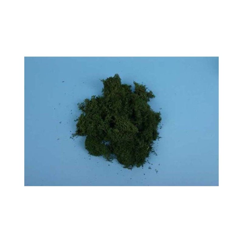 Lichen - Dark Green (80g) Gaugemaster GM165