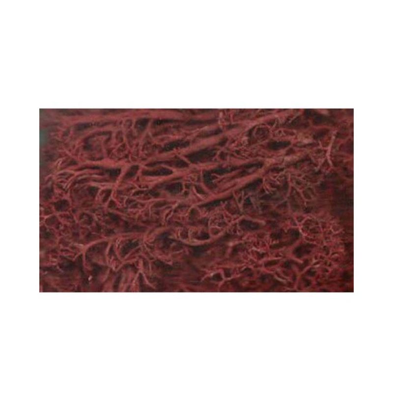 Javis Brown Lichen JBLS