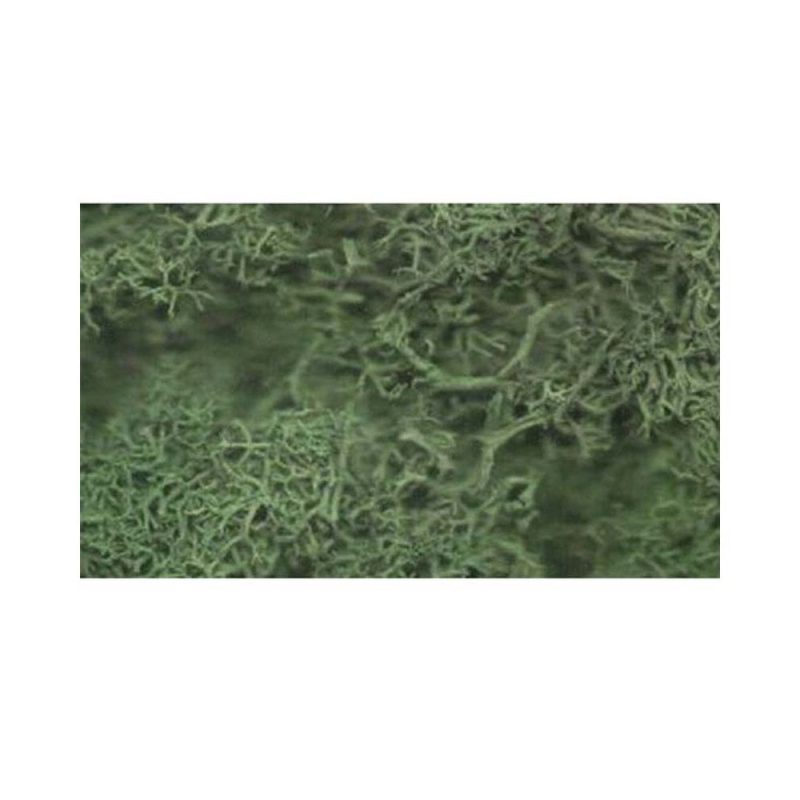 Javis Dark Green Lichen JDGLS
