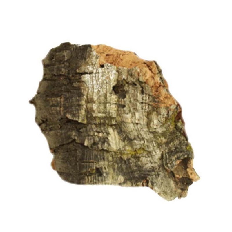 Javis Medium Cork Bark JMCB
