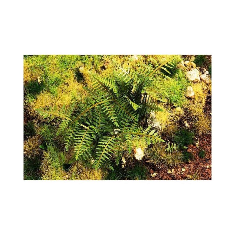 1/35 Bracken Fern Model Scene VG3-030