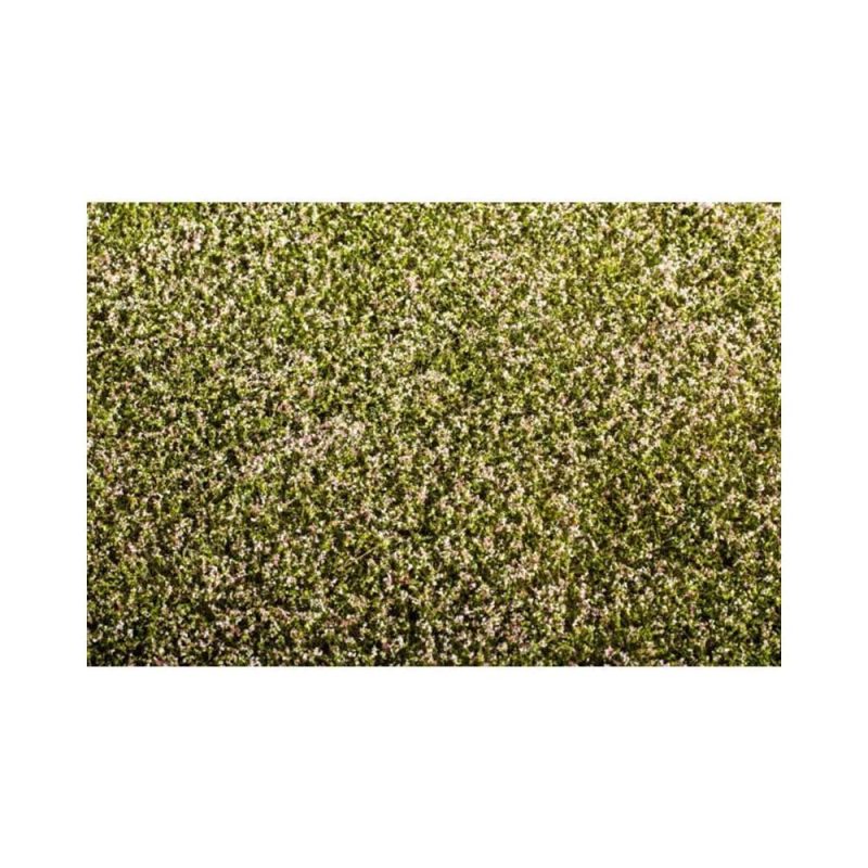 35ml Sun Bleach Model Scene F430