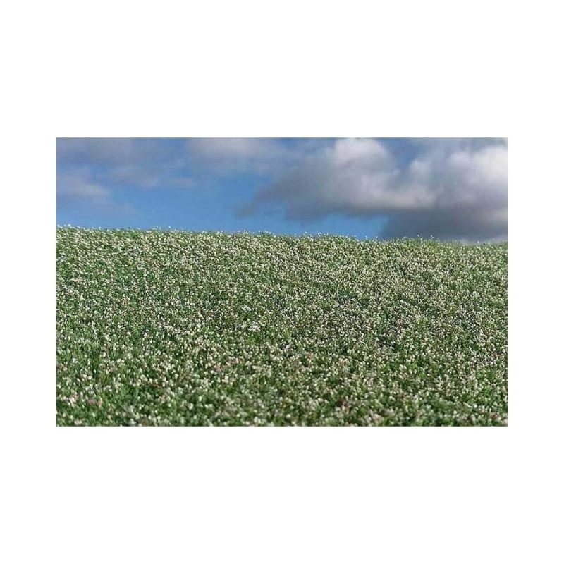 Argo Line - Blooming Poppy Field Mat 18X28cm Model Scene F460