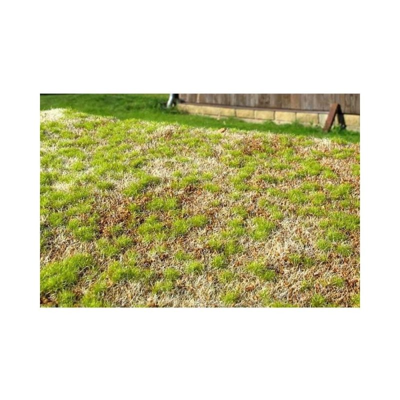 Grass Mat Premium - Steppe Spring Mat 18X28cm Model Scene F531