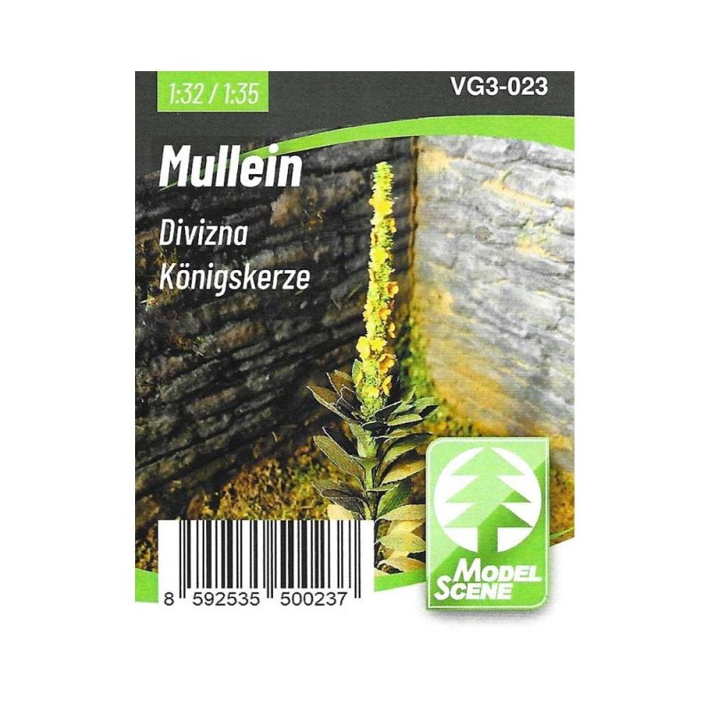 Mullein