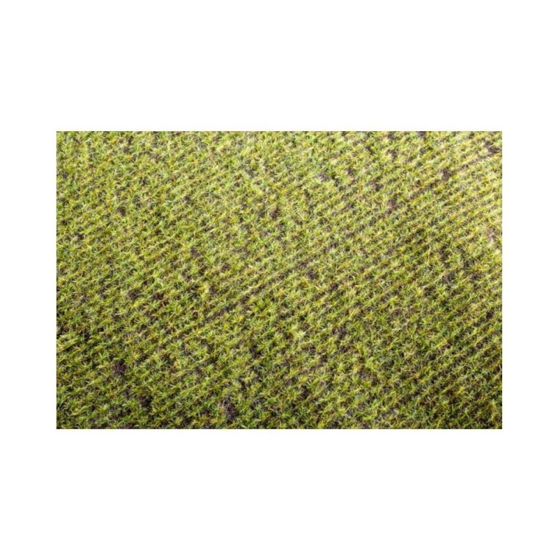 Argo Line - Spring Field Mat 18X28cm Model Scene F401