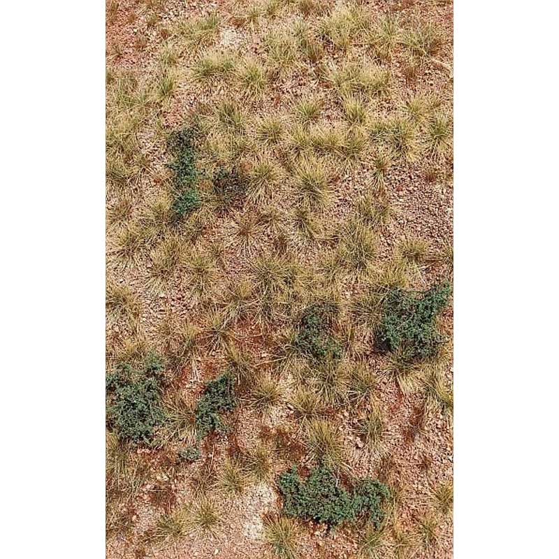 San Pedro Desert F340 Model Scene