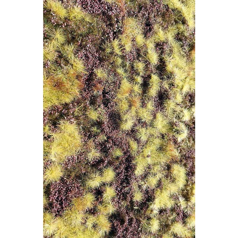 Dry Heathland F640 Model Scene