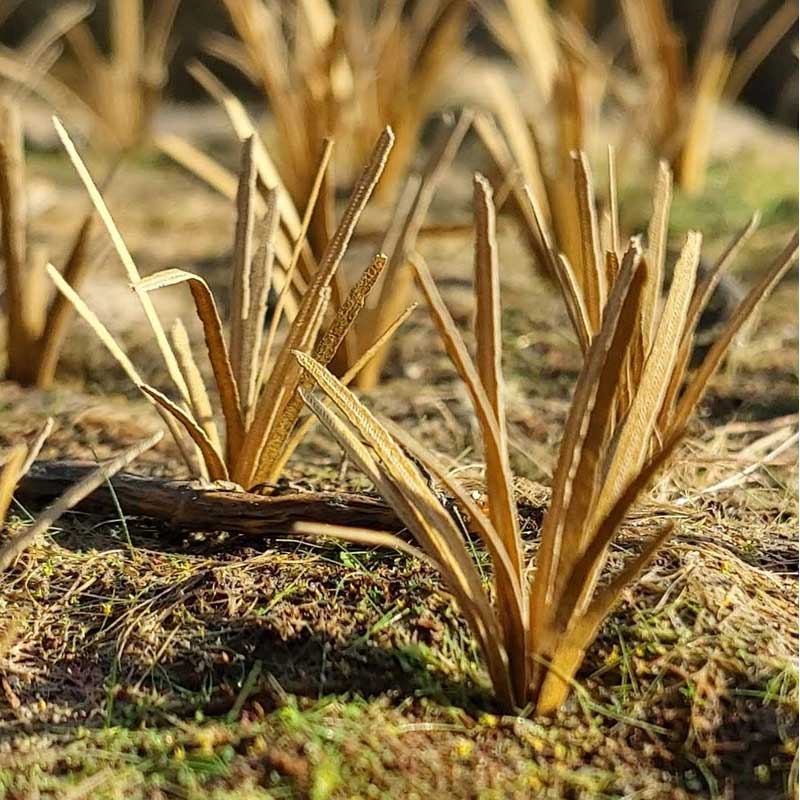 Grass Tufts Dry (1:32 / 1:35 / 1:48) VG3-042 Model Scene