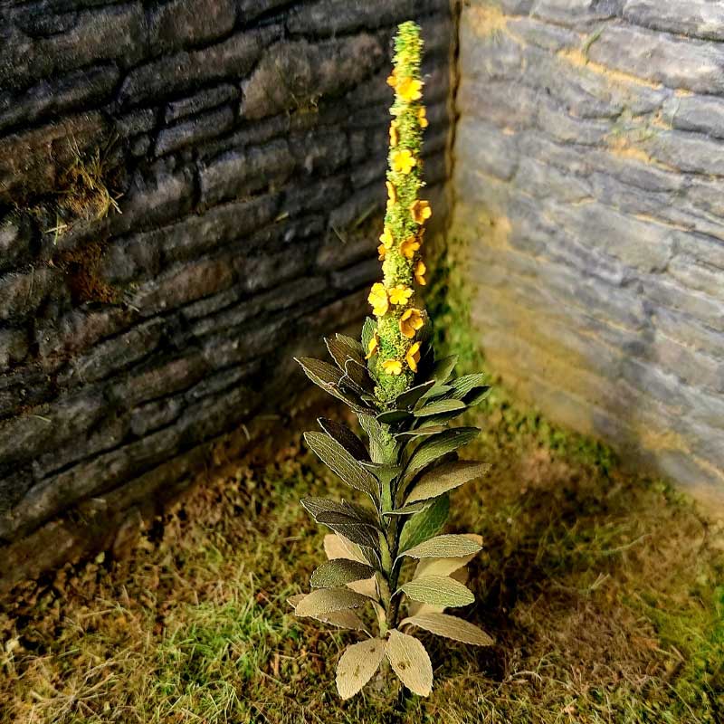 Mullein (1:45 / 1:48 / 1:56) VG4-023 Model Scene