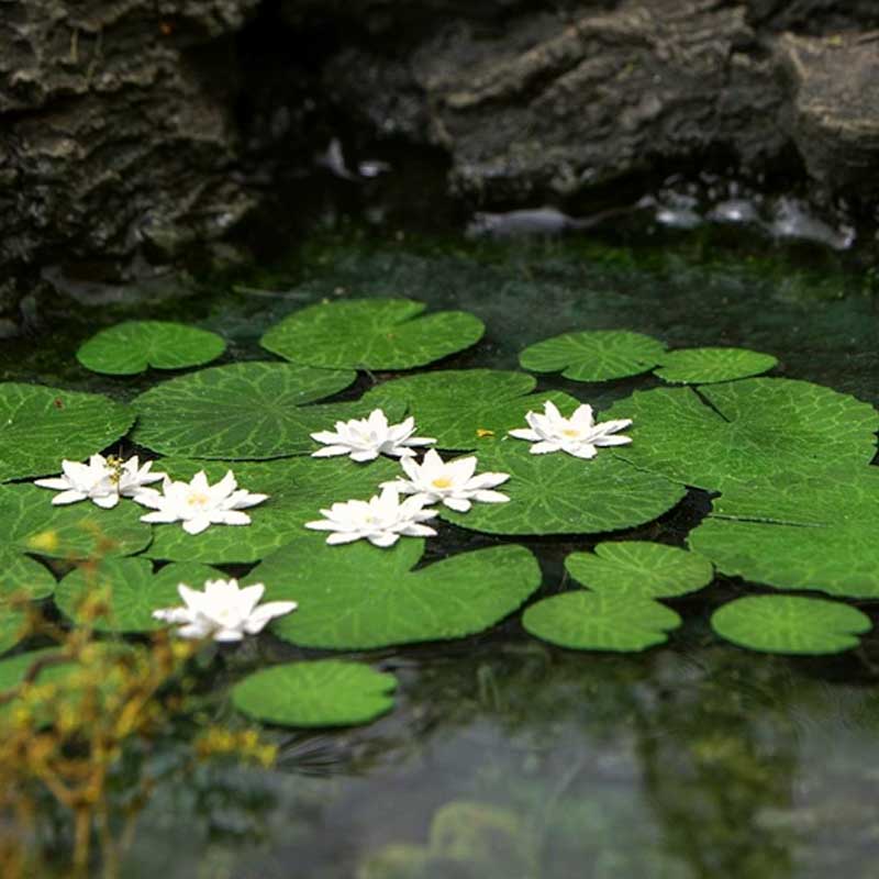 Waterlily (1:45 / 1:48 / 1:56) VG4-026 Model Scene