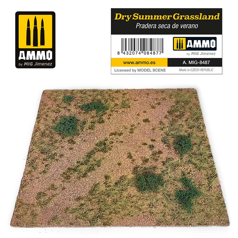 Dry Summer Grassland Ammo A.MIG-8487