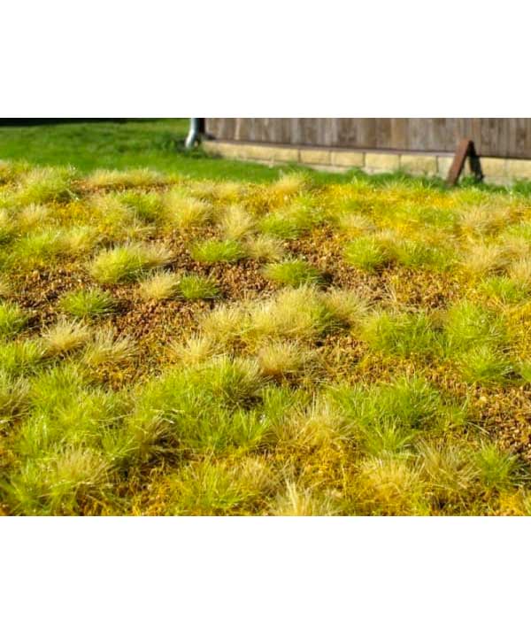 Steppe Unwatered - Late Summer F533-S Model Scene