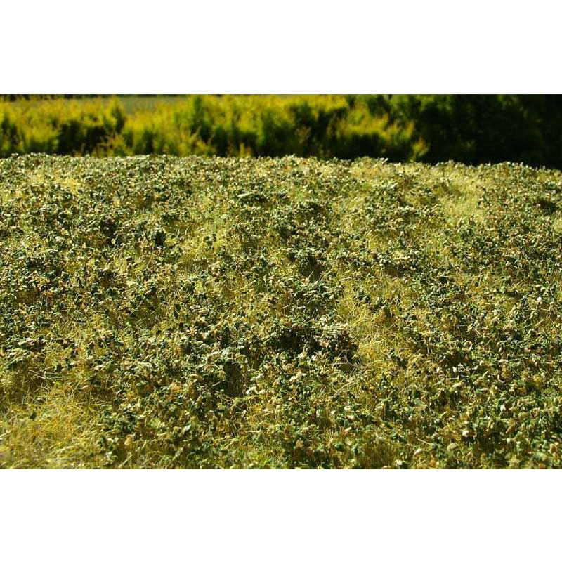 Low Bushes 13x17cm - Late Summer Model Scene F503-S