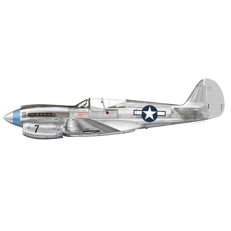 1/48 Curtiss P-40N Warhawk Aces of the 49th Fighter Group 48001 Hobby 2000