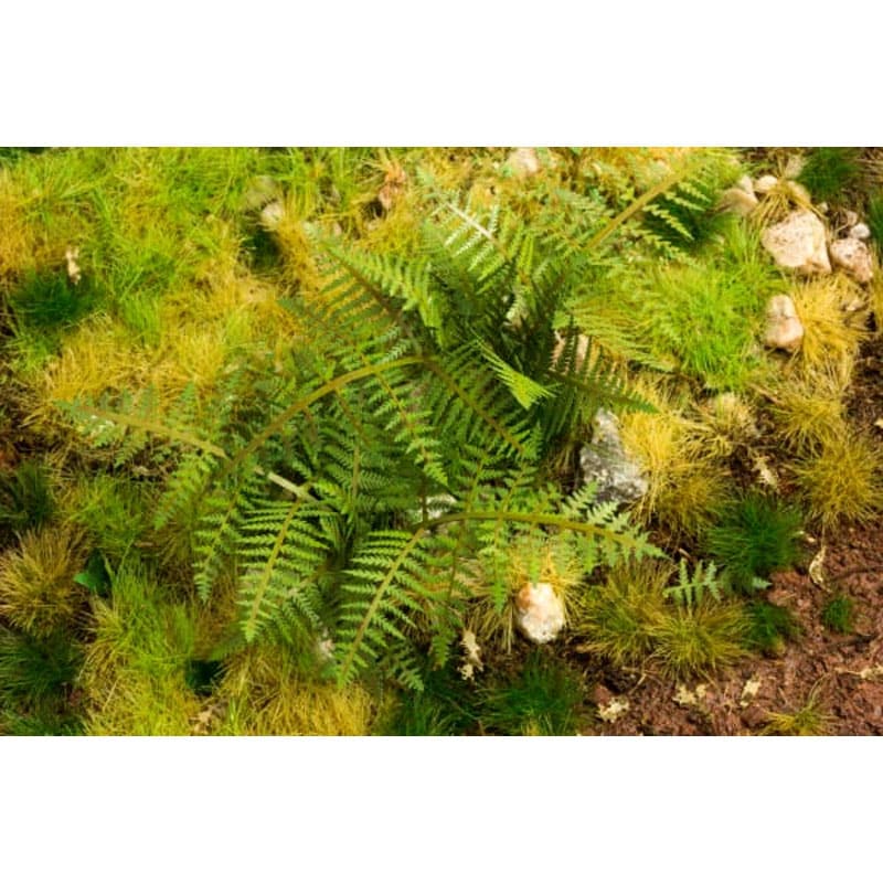 Bracken Fern 1:45/1:56 Model Scene VG4-030