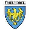 Friulmodel metal tracks: Close-up view of Friulmodel metal tracks, showcasing detailed craftsmanship with realistic texture and design. The tracks are made of high-quality metal, with intricate links and visible detailing, ideal for scale models of military vehicles.
