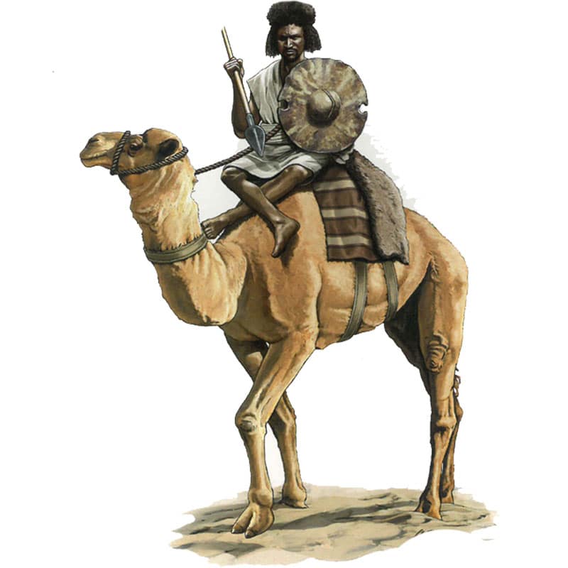 Hat Industrie Colonial Wars Mahdist Camelry (1/72) 8208