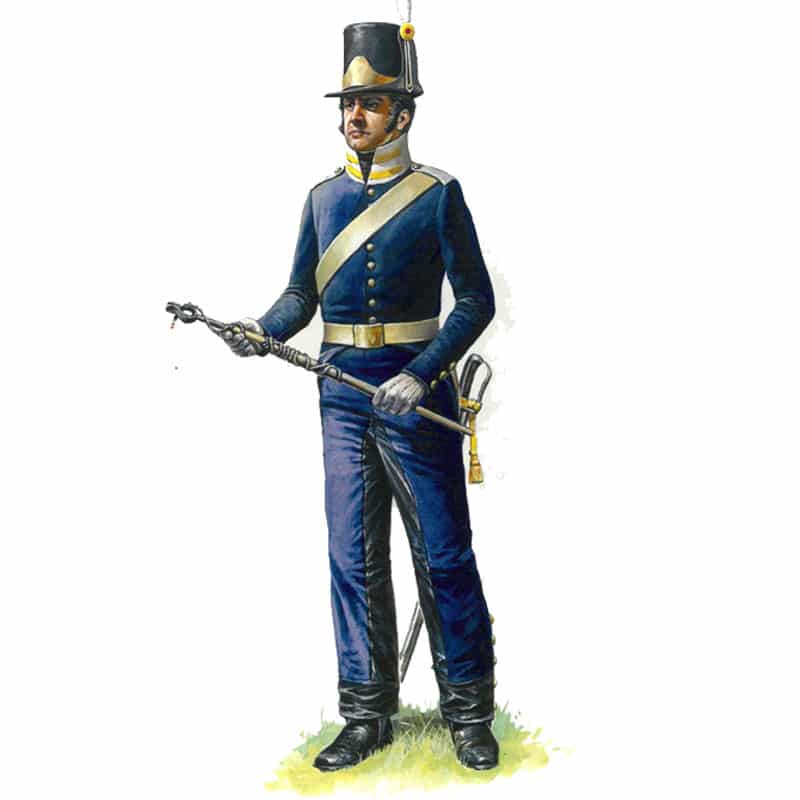 Hat Industrie Napoleonic Swedish Artillery (1/72) 8231